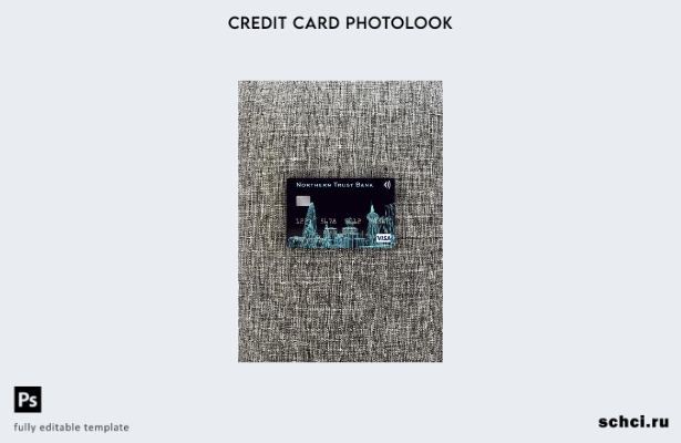 цифровая загрузка USA Northern Trust Bank Visa, фотоизображение, передний шаблон